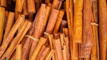 cinnamon-wholesale-price-demystified-how-to-score-the-best-deals-3