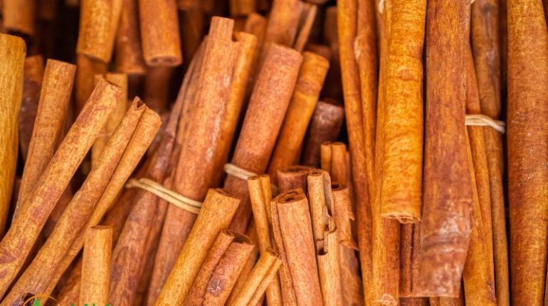 cinnamon-wholesale-price-demystified-how-to-score-the-best-deals-3