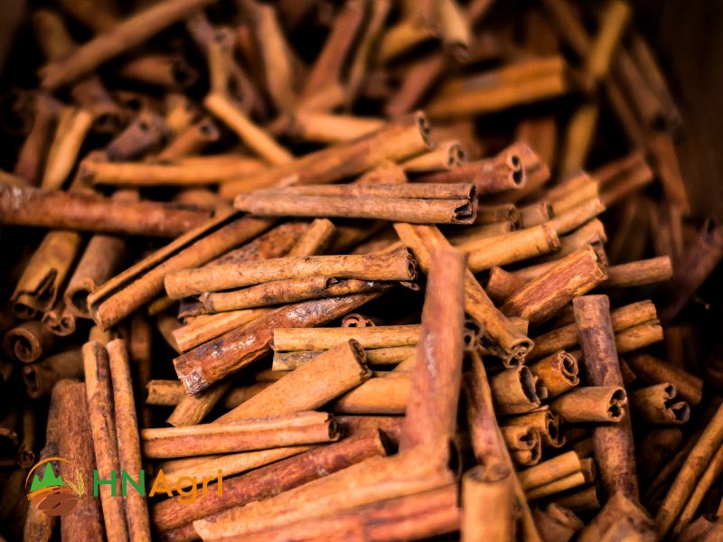 cinnamon-wholesale-price-demystified-how-to-score-the-best-deals-1